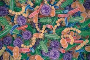 Gut Health 101 - Essential Tips for a Happy Digestive System-3